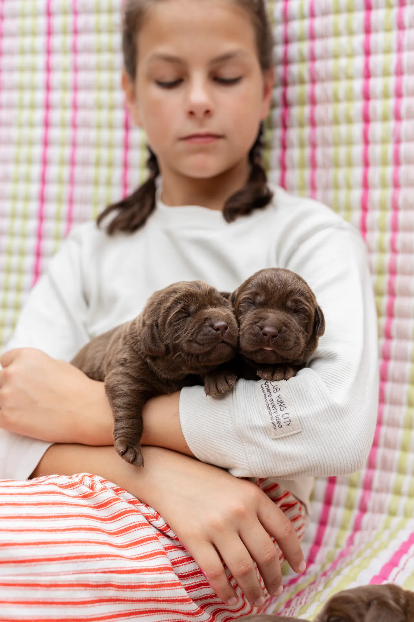 Annie & Grizzly litter — English Labrador puppy photo 2