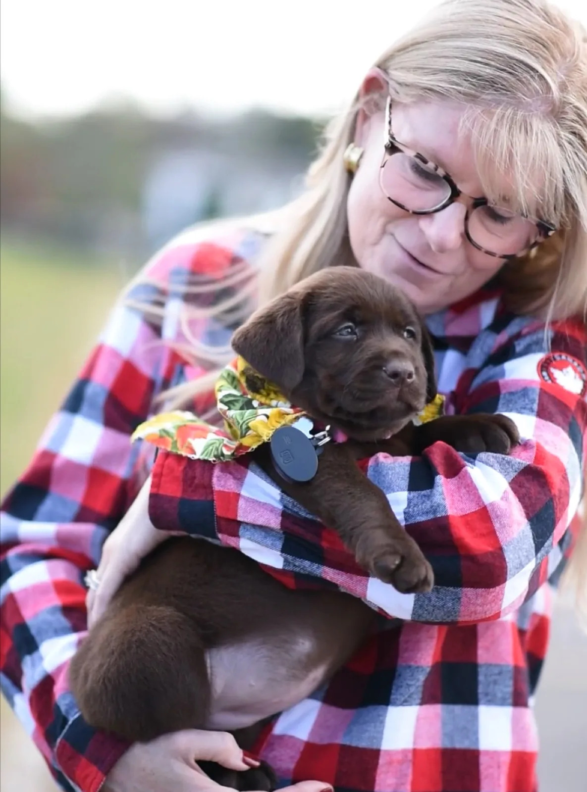 A family meeting their new Happiest Labrador puppy on gotcha day
