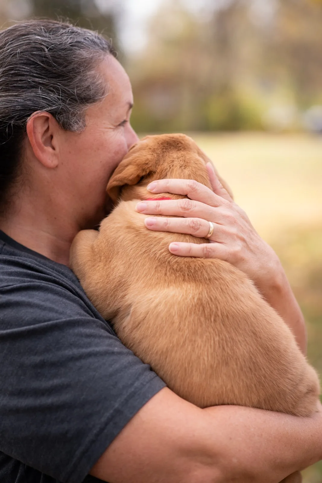A family meeting their new Happiest Labrador puppy on gotcha day