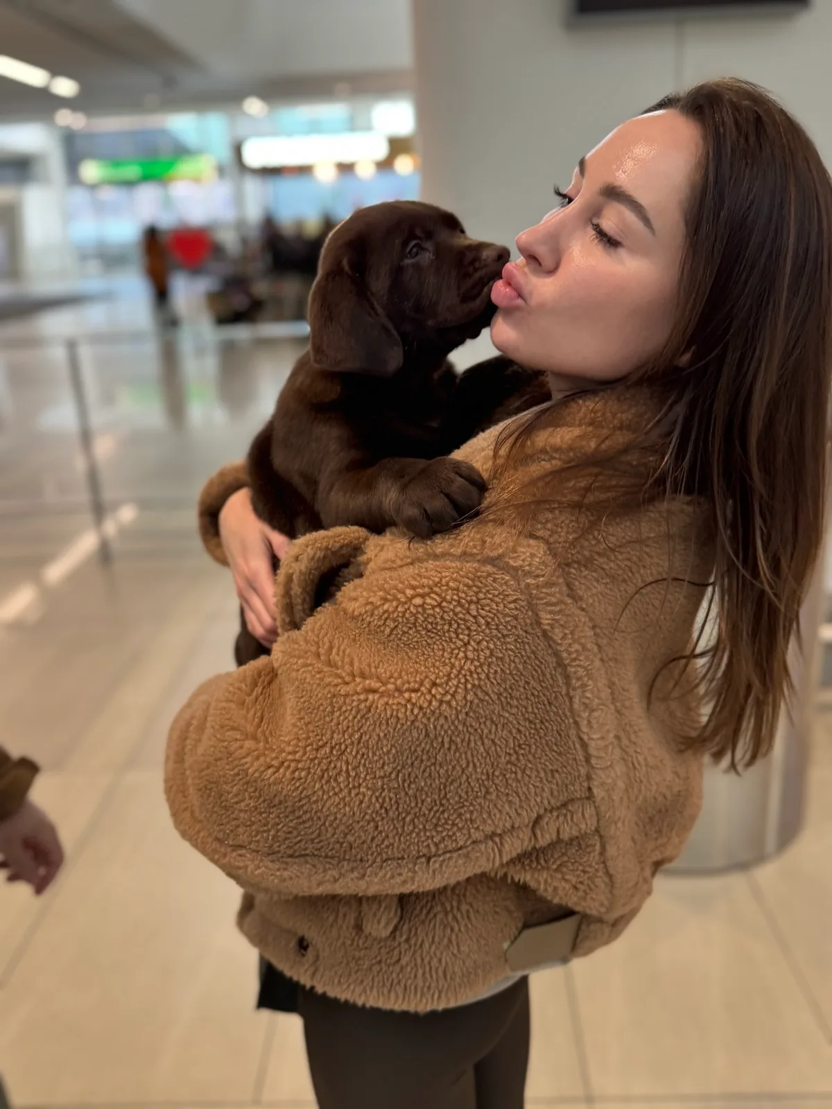 A family meeting their new Happiest Labrador puppy on gotcha day