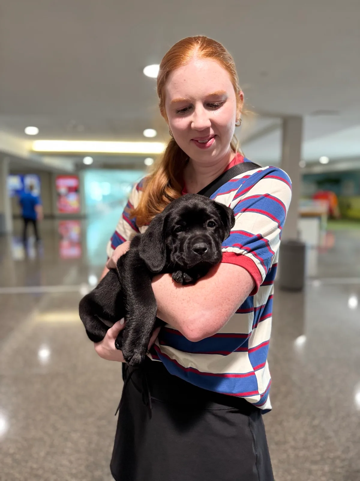 A family meeting their new Happiest Labrador puppy on gotcha day