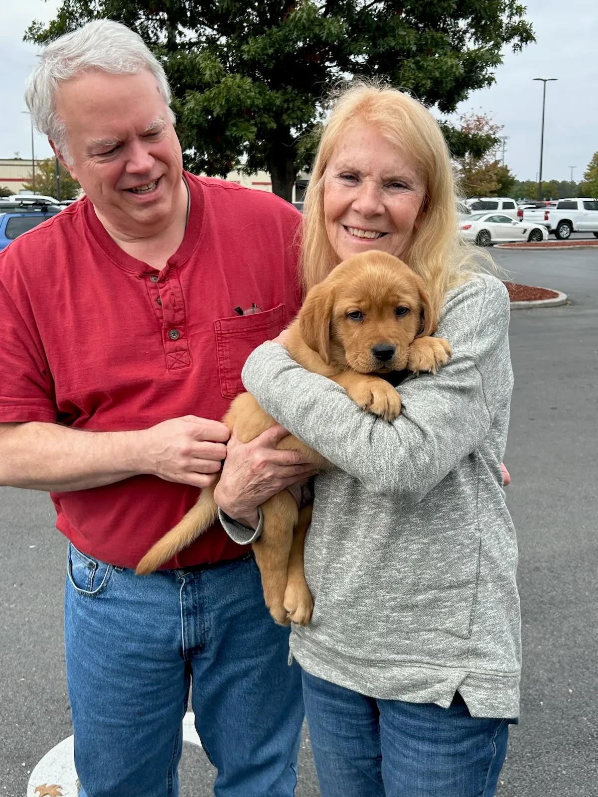 A family meeting their new Happiest Labrador puppy on gotcha day