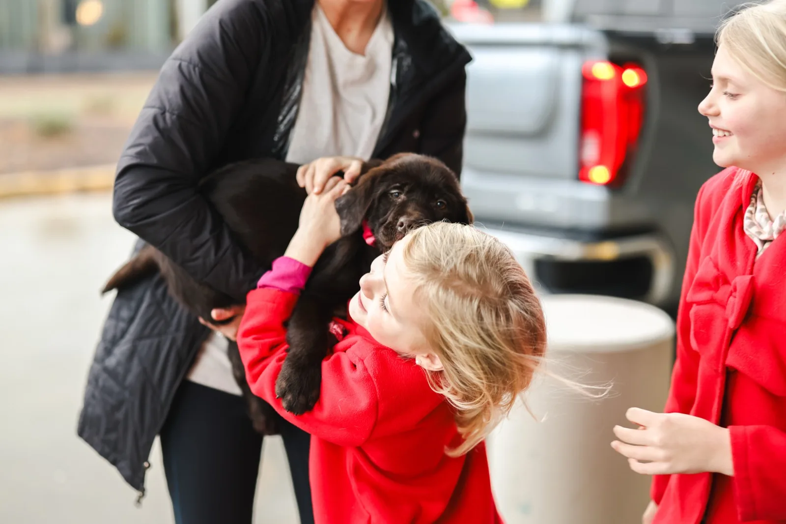A family meeting their new Happiest Labrador puppy on gotcha day