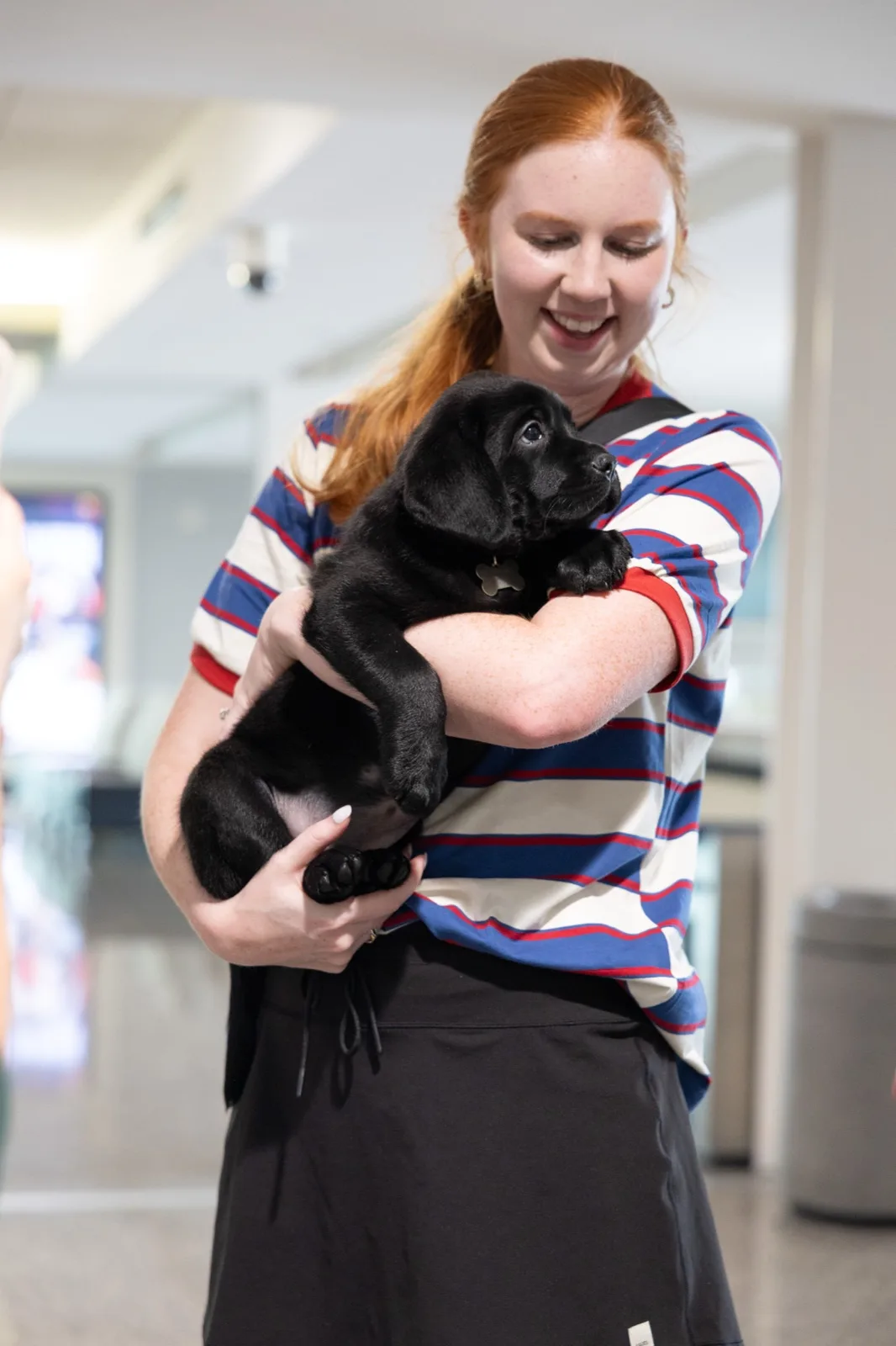 A family meeting their new Happiest Labrador puppy on gotcha day