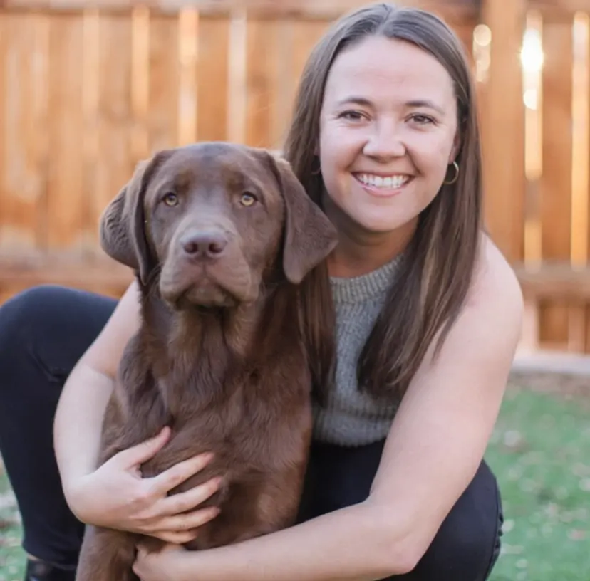 Griz, a chocolate English Labrador from The Happiest Labrador