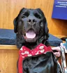 Gunny's Instagram profile picture