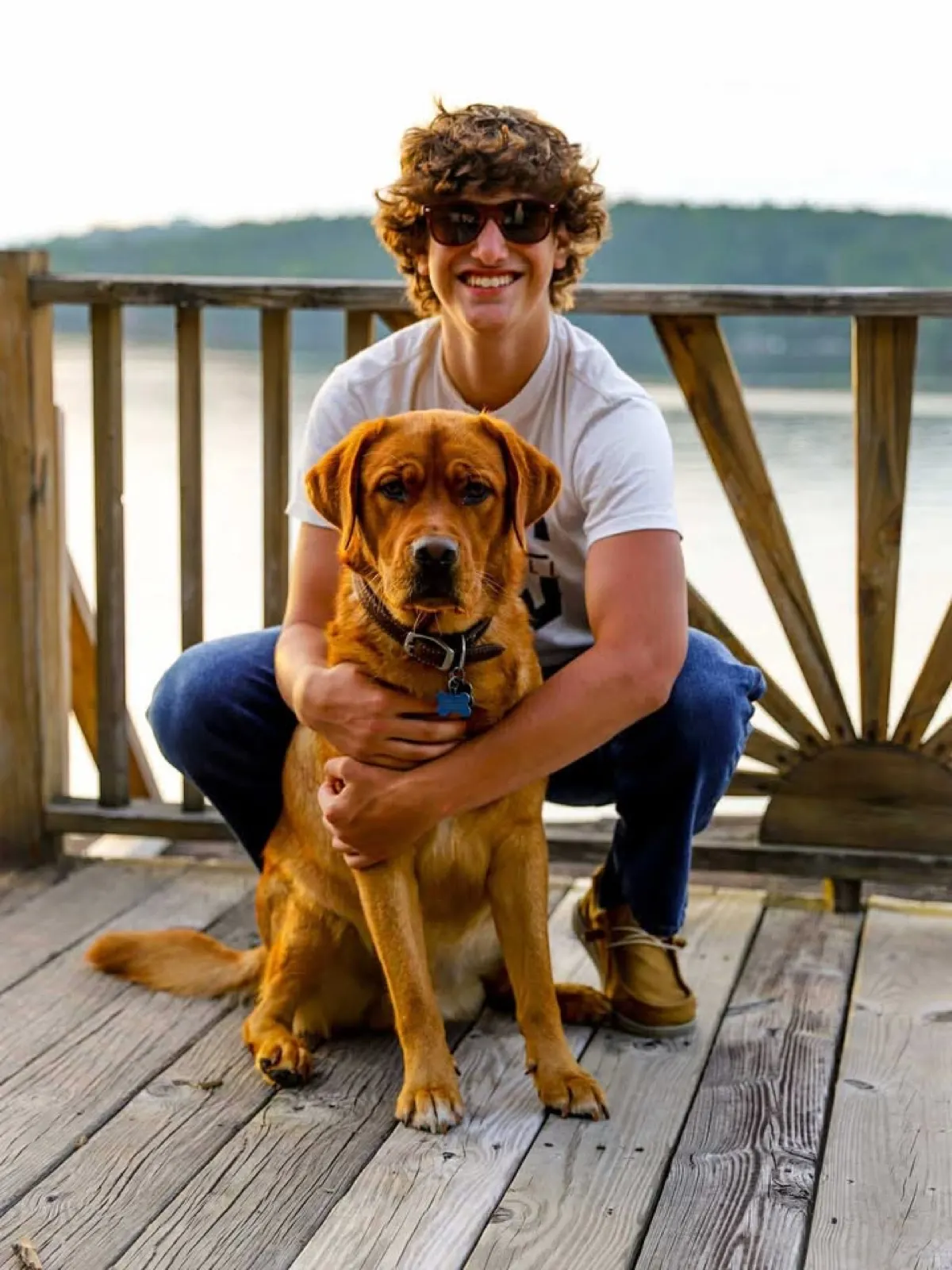 Lewey, a Happiest Labrador at home with their family