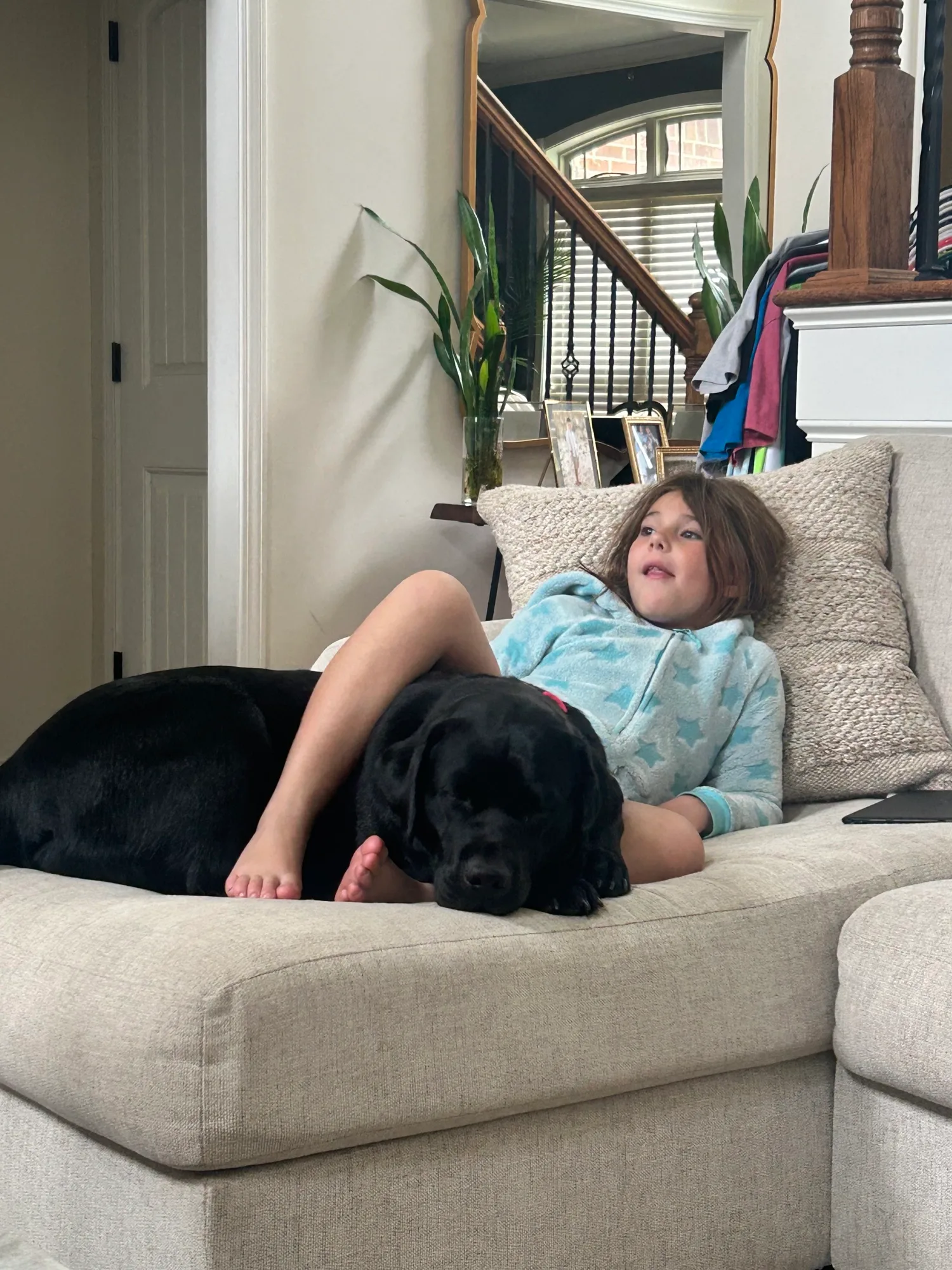 A previous Happiest Labrador puppy at home with their family
