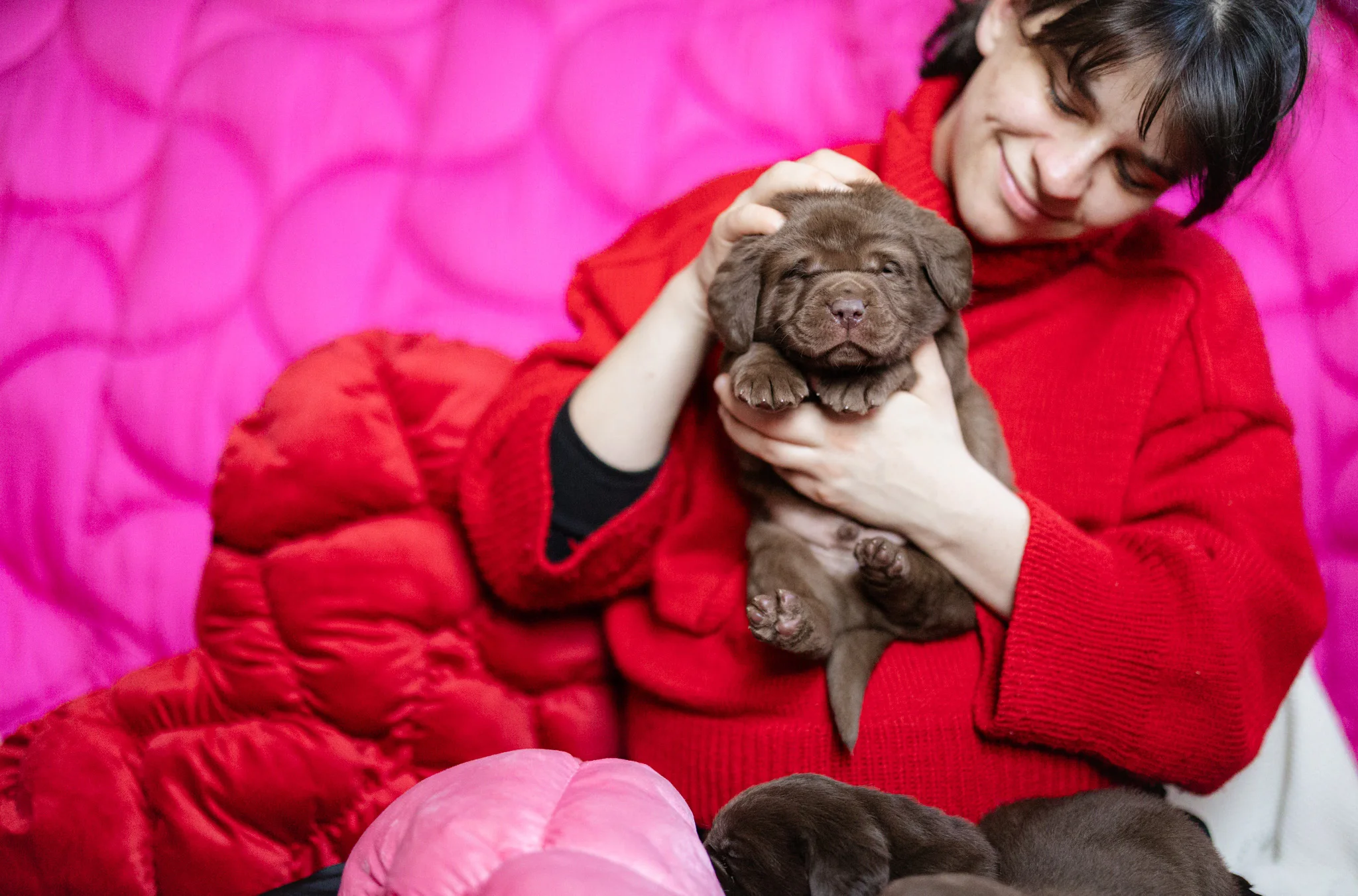 One of our family cradling a chocolate Labrador puppy in a red sweater on a pink quilt