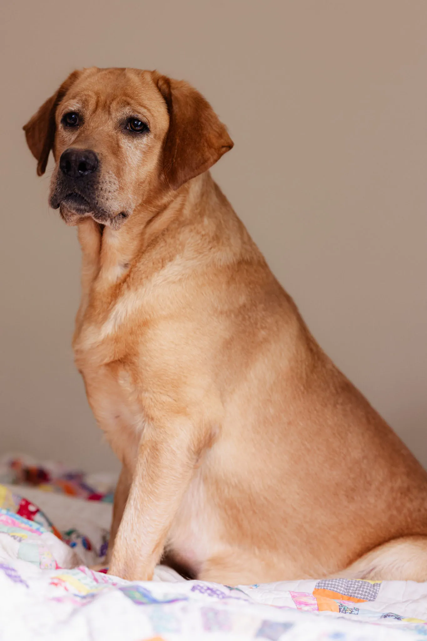 Roxy — photo 9