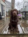 Stan's Instagram profile picture