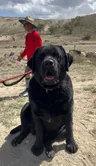 Tucker's Instagram profile picture